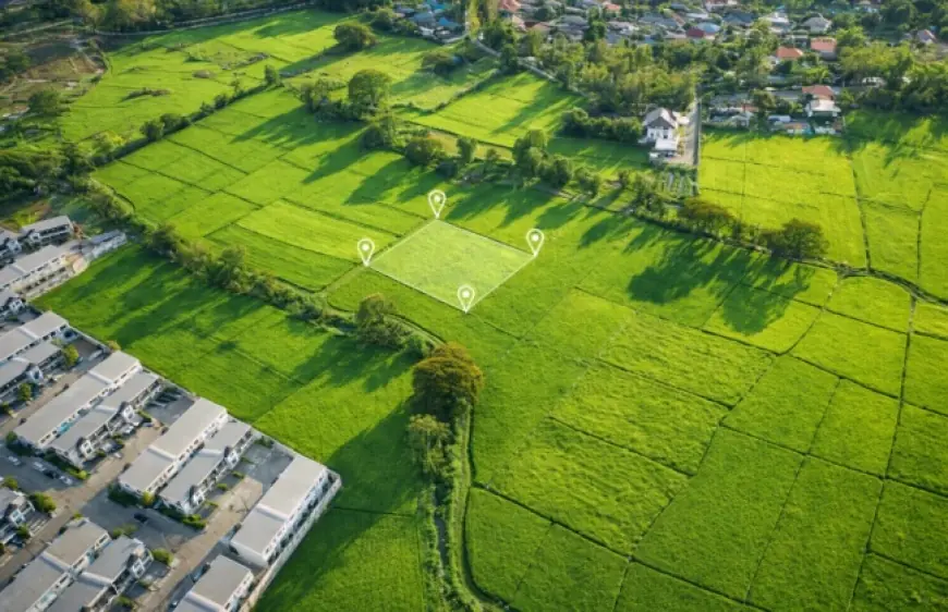 Як законно передати право оренди землі іншій особі: у Мін’юсті роз’яснили умови відчуження