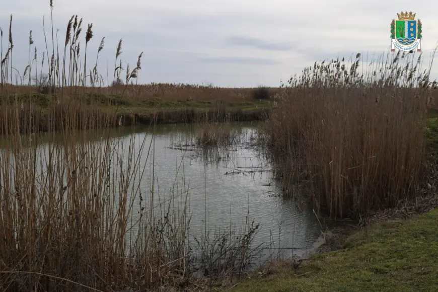 Про стан наповнення придунайських озер