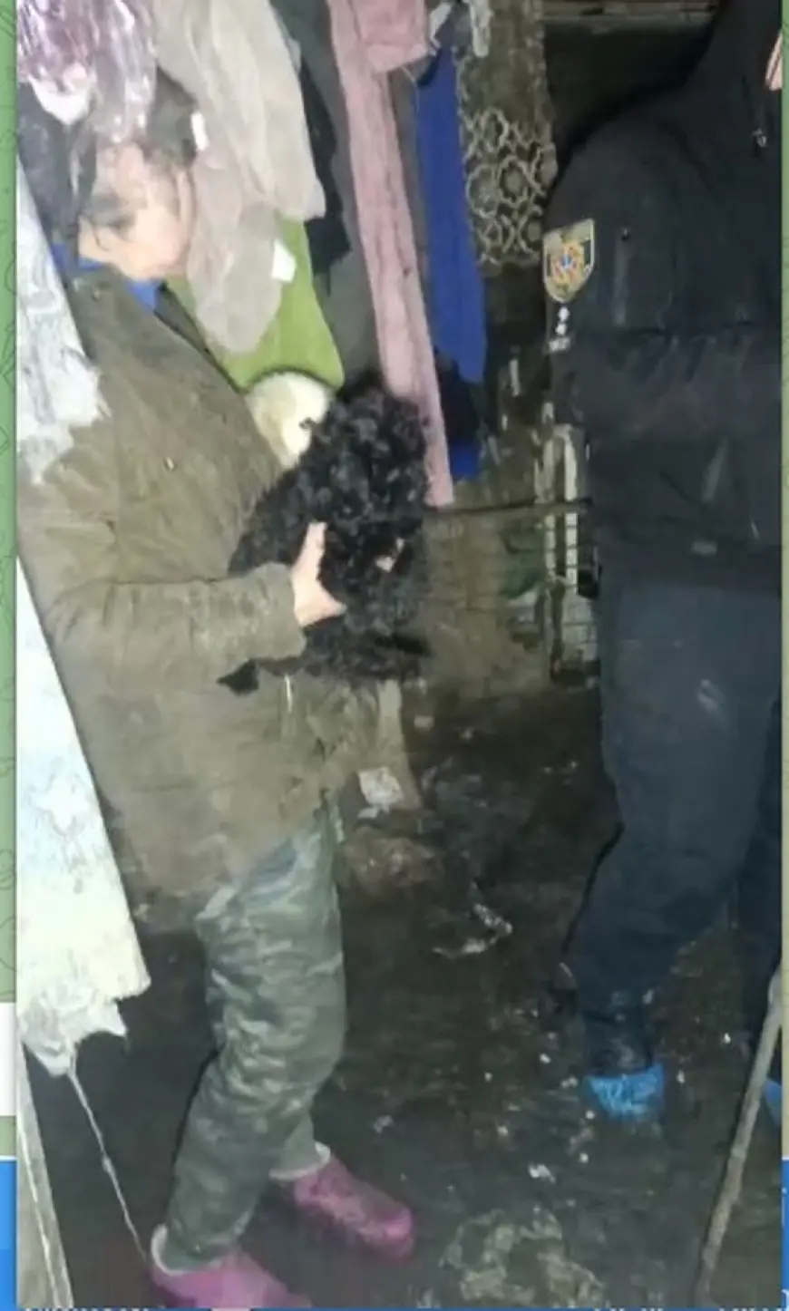 Кричуща жорстокість: в Ізмаїлі виявили "чорний розплідник"