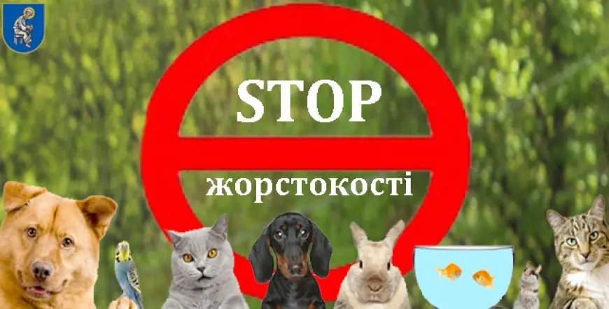 Жорстоке поводження з тваринами — злочин: яка відповідальність передбачена законом