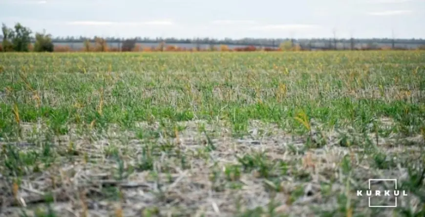 Фахівці напрацьовують зміни для врегулювання проблем викуп земель постійного користування