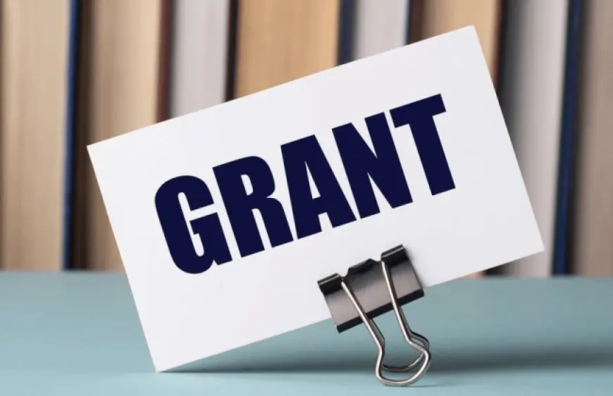 Володимир Зеленський затвердив положення про гранти для молоді з малих громад