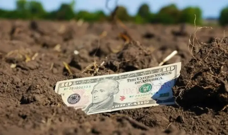 В Україні фермерам систематично відмовляють у викупі земельних ділянок постійного користування