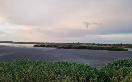 В Ізмаїльському районі триває екологічна криза на озері Китай