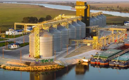 "Нібулон" у десять разів скоротив перевалку на Дунаї