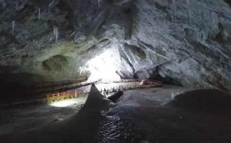 Бактерія з Румунії