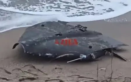 Пивіт від раші?