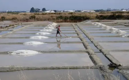 На Куяльнику планують побудувати систему солярісів для видобутку солі