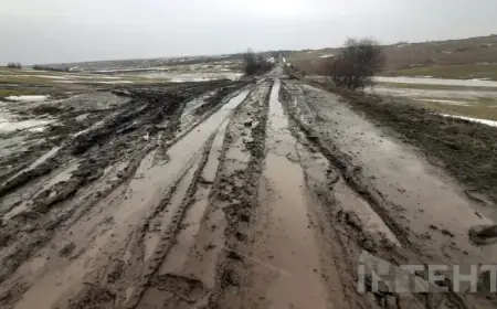 На Одещині розпочали ямковий ремонт трас, постраждалих взимку