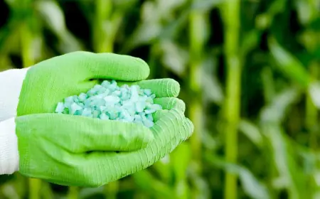 Виклик на 10 мільйонів гектарів: міністр назвав найскладніший етап аграрної євроінтеграції