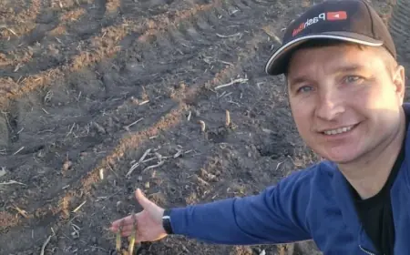 Артишок, спаржа, шафран — це про підхід, а не технологію