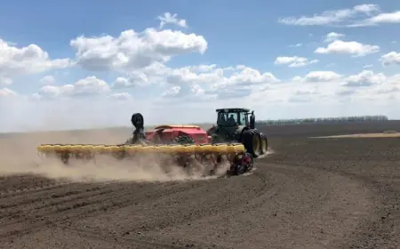 Весняна посівна кампанія у більшості регіонів стартує дещо пізніше, ніж у попередні роки — Висоцький
