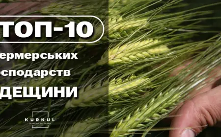 ТОП-10 фермерських господарств Одеської області