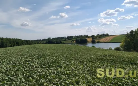 У Мін’юсті пояснили, що робити, якщо особа має державний акт на право довічного успадковуваного володіння землею