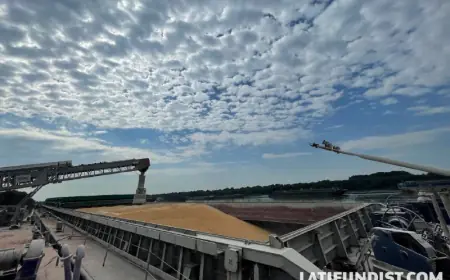 У дунайських портах запустять експериментальний проєкт розвитку