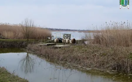 На Ізмаїльщині на равликовій фермі  відкриють контактний зоопарк
