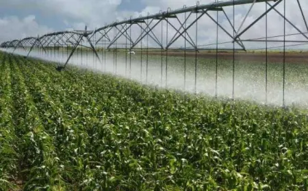 Зеленський підписав закон, який запускає другий етап реформи меліорації: що зміниться для агросектору