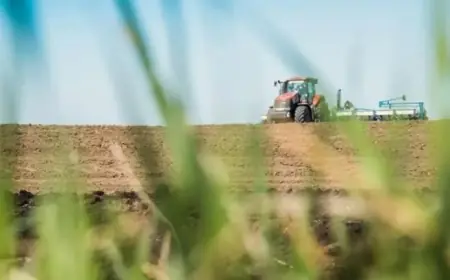 Помилки посівної починаються з планування, або як зробити постаналіз до сівби
