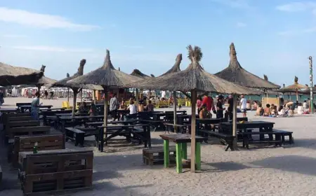 На пляжах Румунії наведуть порядок