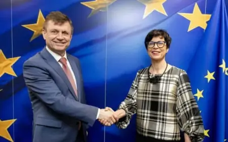 Зовнішнє управління та економічний тиск: як Молдова планує повертати Придністров'я