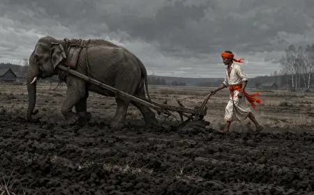 Індія стає ближчою