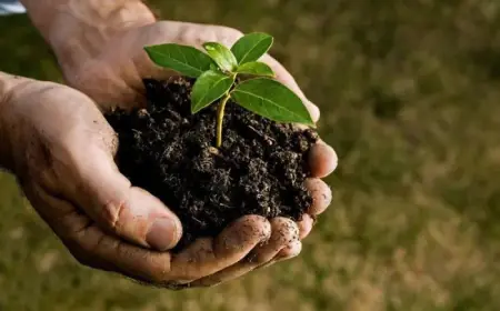 Україні надали доступ до глобальної системи генетичних ресурсів рослин