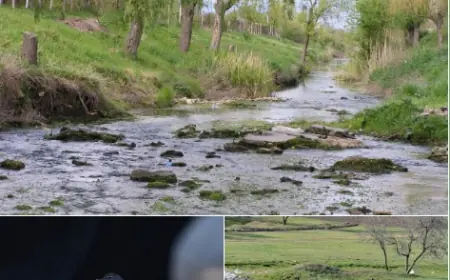 На півдні Одещини може зникнути ще одна річка