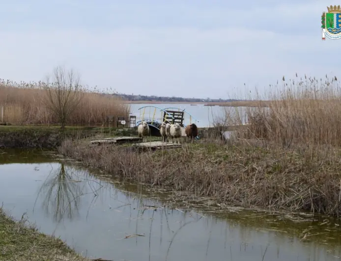 На Ізмаїльщині на равликовій фермі  відкриють контактний зоопарк