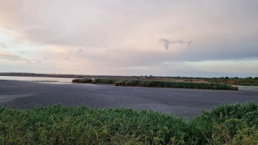 В Ізмаїльському районі триває екологічна криза на озері Китай