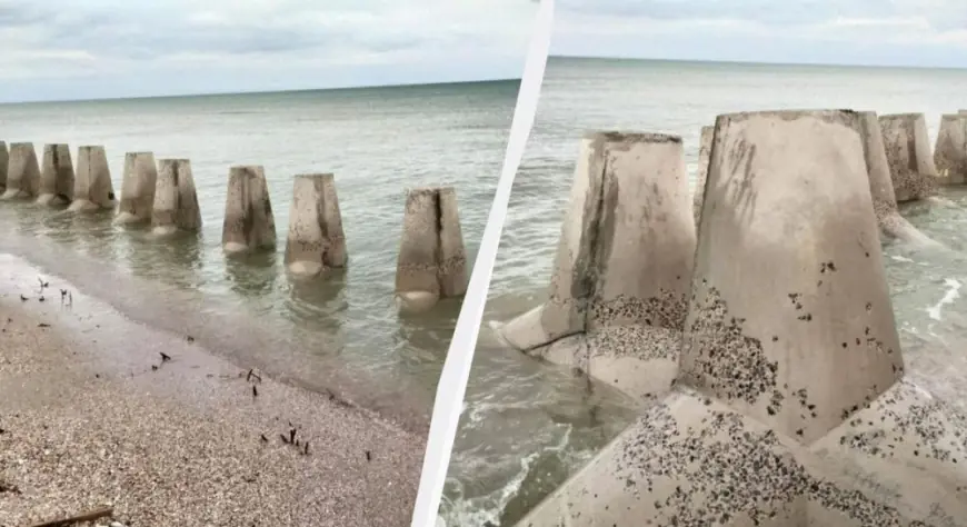 На Одещині море "поглинає" споруди для захисту від російського десанту, - науковець