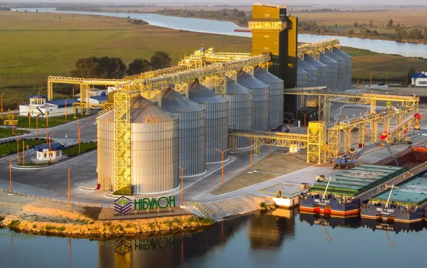 "Нібулон" у десять разів скоротив перевалку на Дунаї