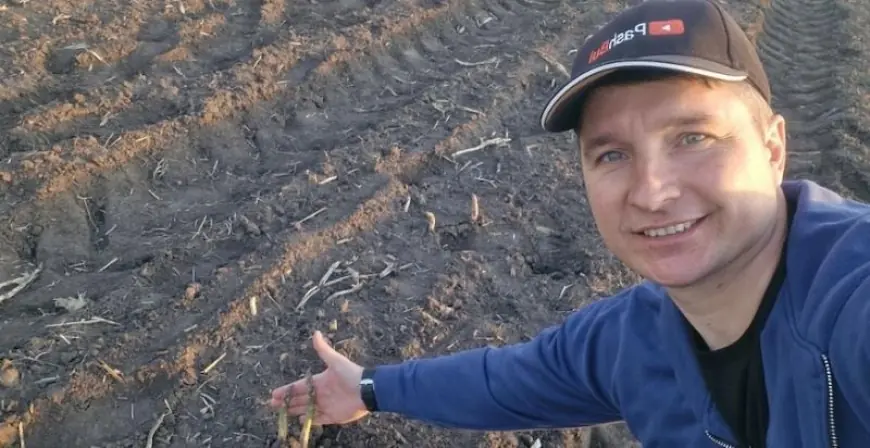 Артишок, спаржа, шафран — це про підхід, а не технологію