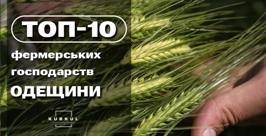 ТОП-10 фермерських господарств Одеської області