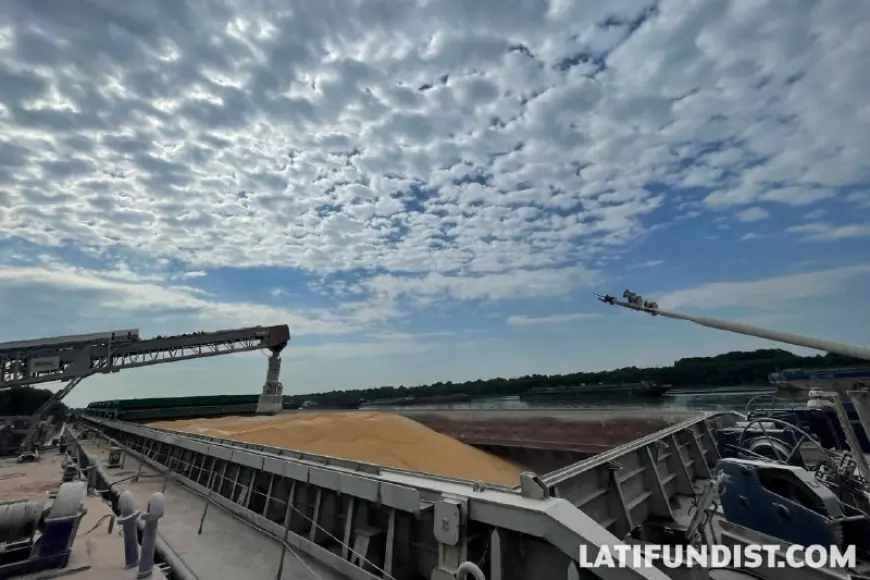 У дунайських портах запустять експериментальний проєкт розвитку