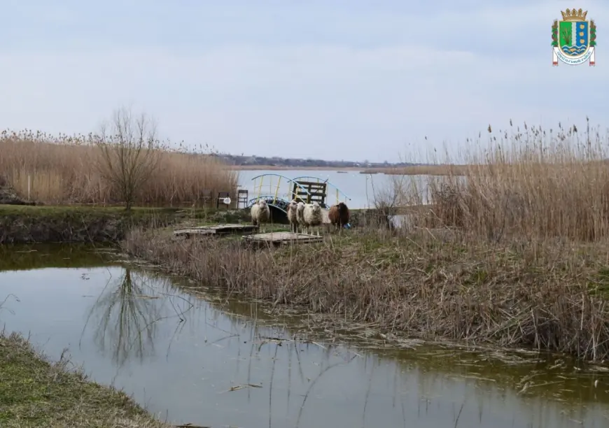 На Ізмаїльщині на равликовій фермі  відкриють контактний зоопарк