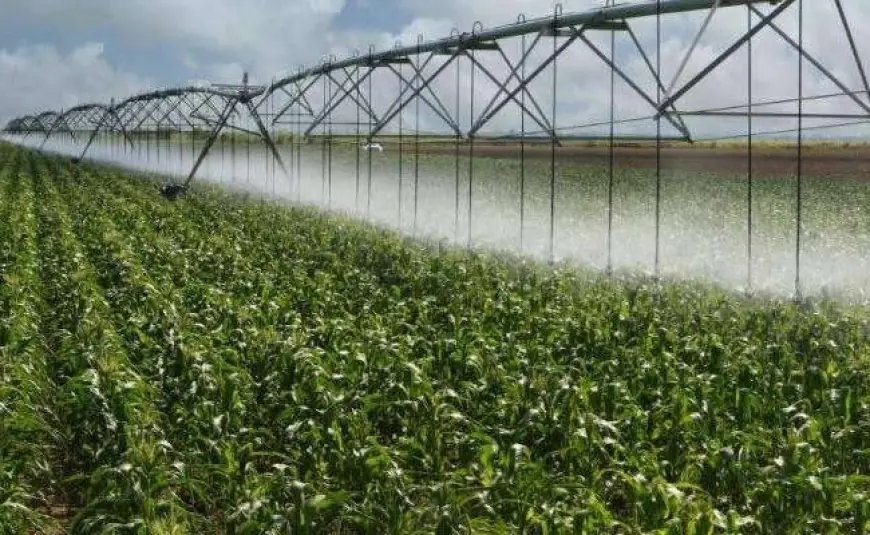 Зеленський підписав закон, який запускає другий етап реформи меліорації: що зміниться для агросектору