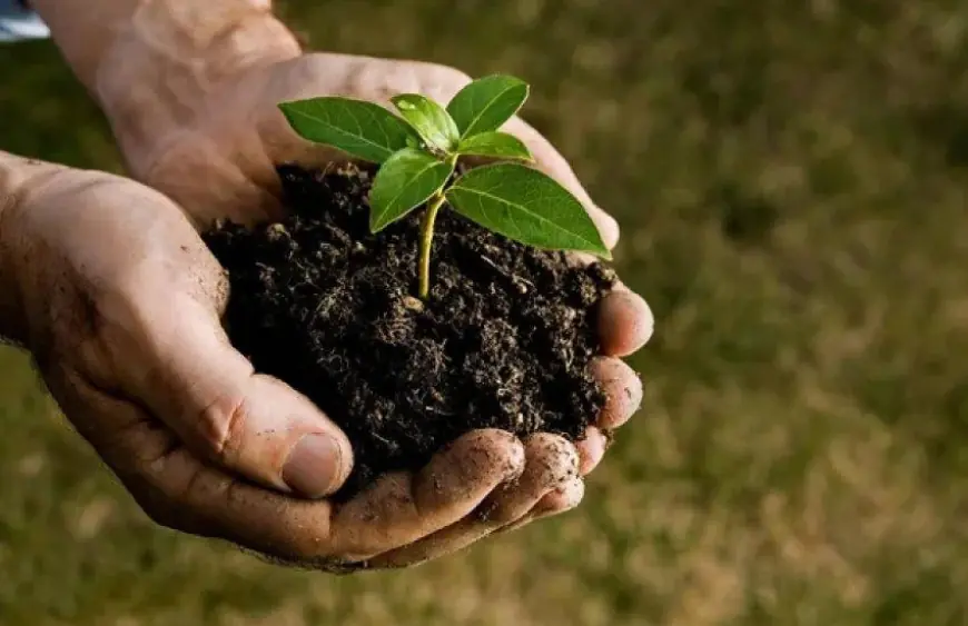 Україні надали доступ до глобальної системи генетичних ресурсів рослин