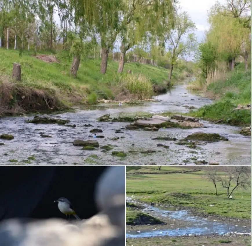 На півдні Одещини може зникнути ще одна річка