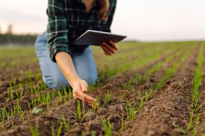 "Проблема не у відсутності грошей, а в спроможності стартапів їх залучати": що гальмує розвиток агріфуд-стартапів в Україні