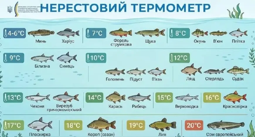 Від 1 квітня діють сезонні обмеження для рибалок