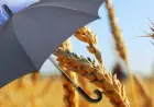 Агрострахування в Україні розширюватиметься