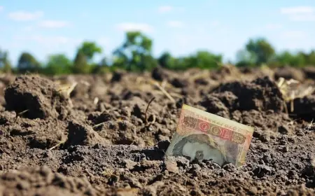 Фермери дедалі частіше стикаються з проблемою подвійного оподаткування землі