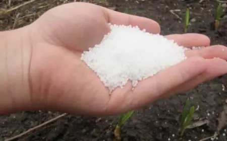 Фермерам рекомендують купувати добрива до осінньої посівної вже зараз