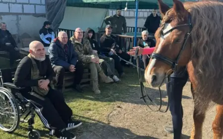 На Одещині відновили заняття з іпотерапії для реабілітації ветеранів війни