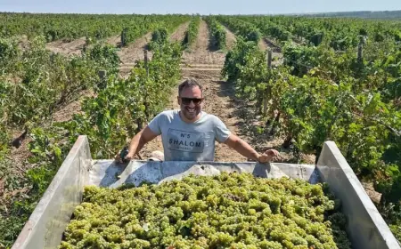 Едуард Городецький: Моє вино — моя особистість