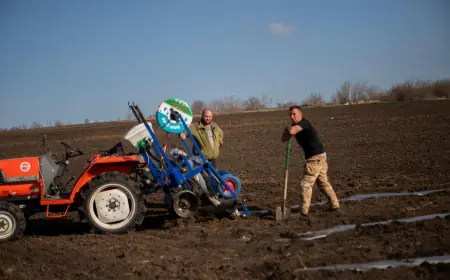 Ветеранський бізнес у Роздільнянському районі: як Микола Троїцький вирощує кавуни та зелень у Володимирівці