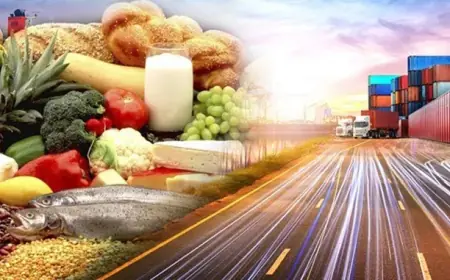 Харчове законодавство України змінюється під вимоги ЄС: що чекає виробників