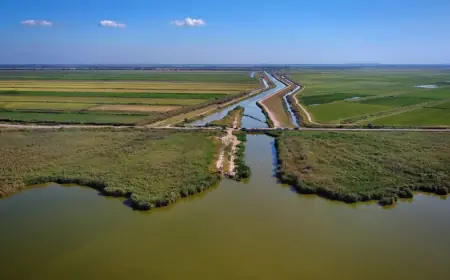 Водойми швидко міліють: озера в Одеській області модернізують