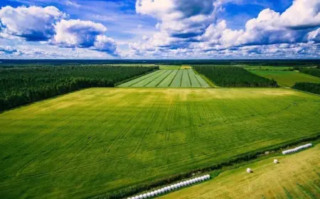 В Україні вирішили змінити оцінку сільгоспземель