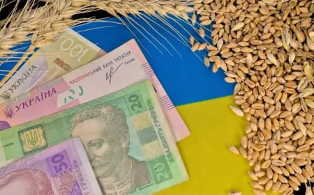 Держава збільшила фінансування програм підтримки аграріїв на 50% у 2026 році